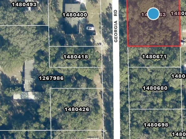 0 Georgia Rd Lot 39, Altoona, FL 32702