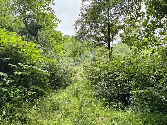 5th image of Marlott Run Rd