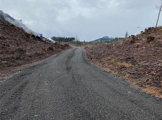 203 Ashfield Rd, Randle, WA 98377