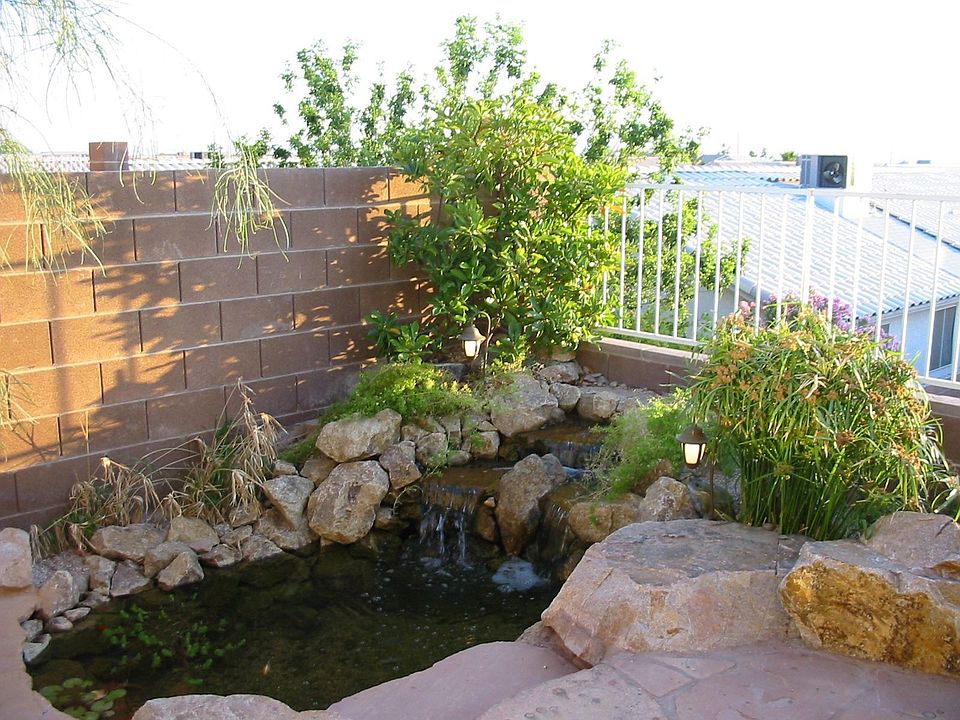 Koi pond