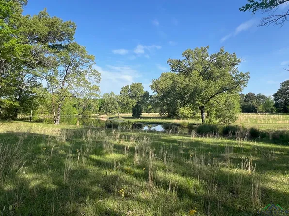 County Road 1755, Mount Pleasant, TX 75455