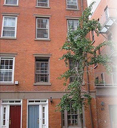 2nd image of 47 Horatio St