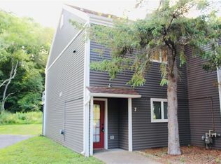 7 Plum Rd, Ellicottville, NY 14731