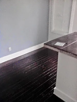 Rented by 585 Evergreen Avenue, LLC | media 28