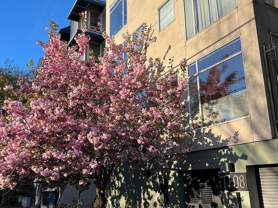 1st image of 1708 Melrose Ave Unit 502