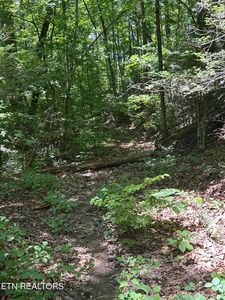 Lower Powdermill Rd, Sevierville, TN, 37876