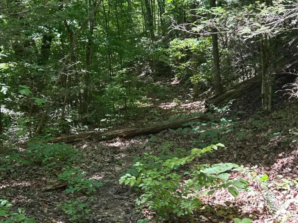 Lower Powdermill Rd, Sevierville, TN 37876