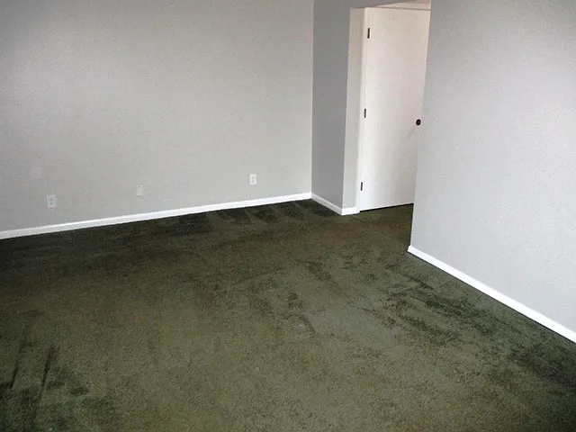 1506 Northbrook Dr — Photo 6