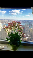 Sold by Chapin Group East