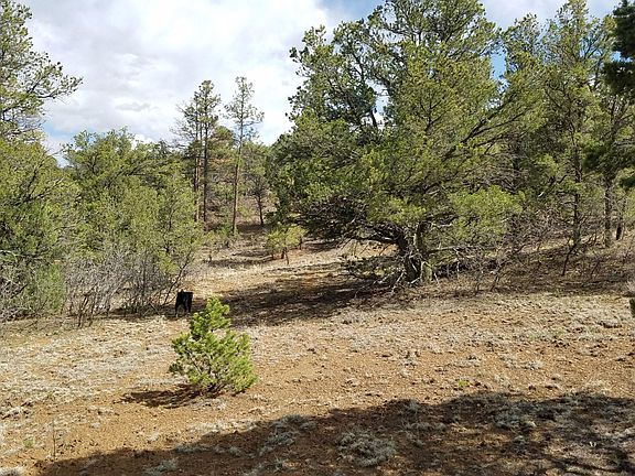5th image of County Road 53.5