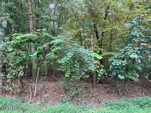 1st image of 122 Ivy Ln