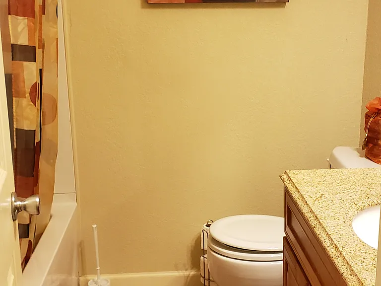 Guest bathroom