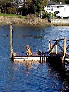 Dock