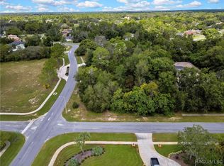 351 Oriana Dr, Spring Hill, FL 34609