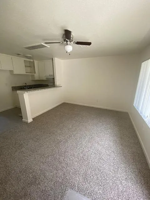 Springview Apartments — Photo 4