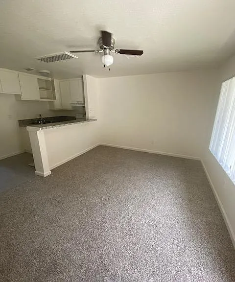 Springview Apartments — Photo 4