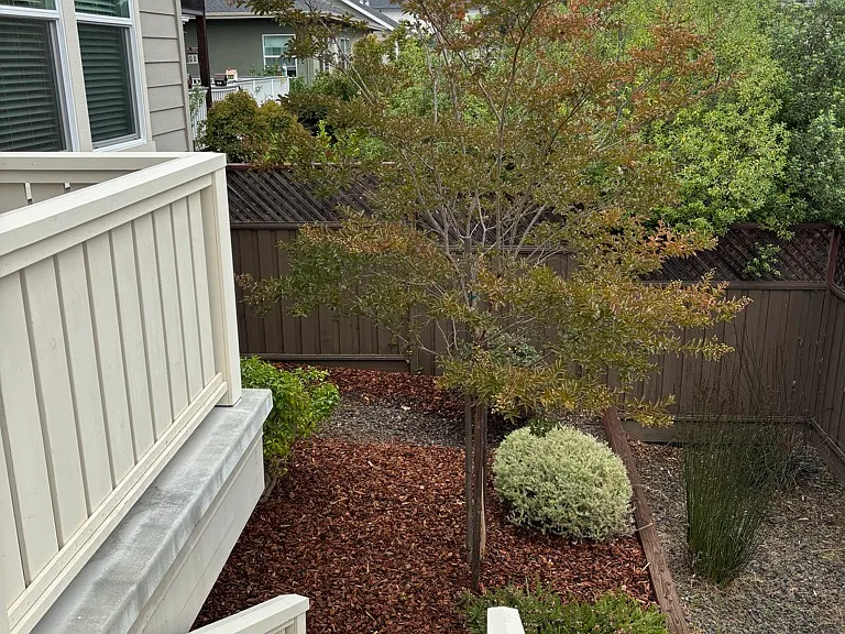 3524 Leete Ave — Photo 14