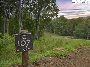 C 107 Springwater Lane Banner, Elk Park, NC 28622