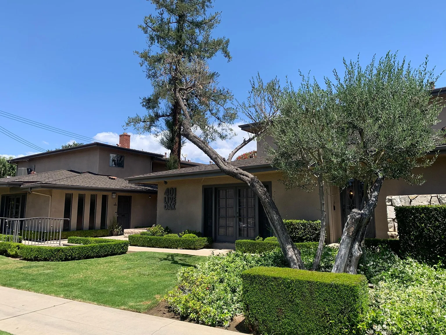 Live Oak apartments — Photo 1