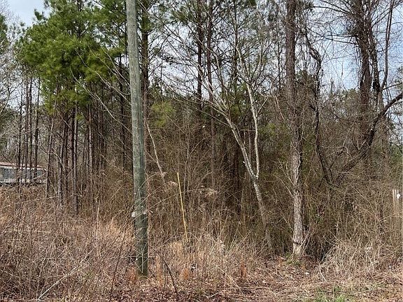 3rd image of 270/300 County Road 479
