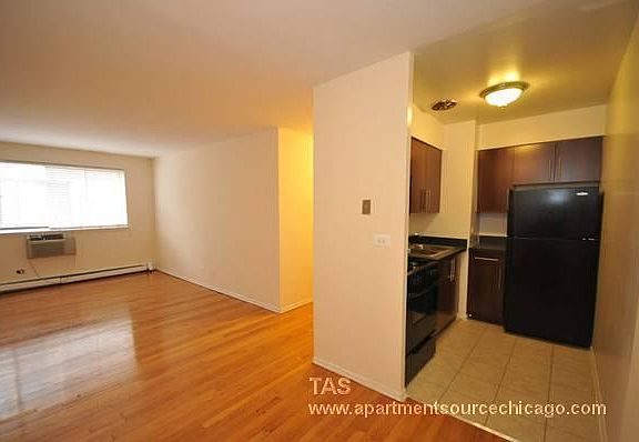 5th image of 537 Dnp W Melrose St #439