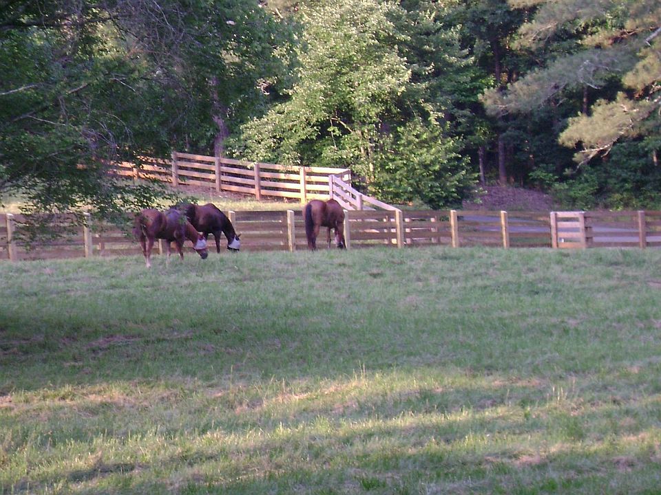 2nd image of 1065 Ammons Rd