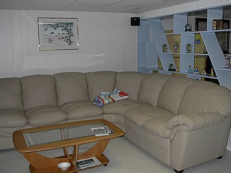 BASMENT FAMILY ROOM