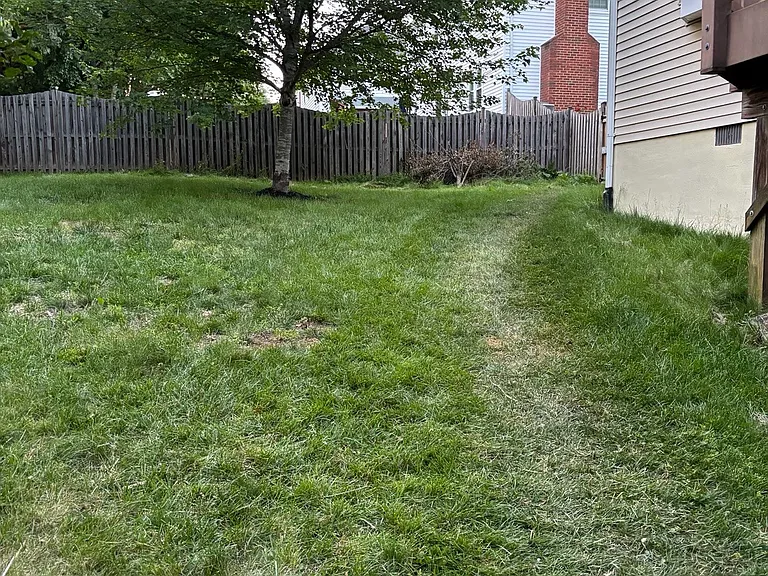 2604 Quincy Adams Dr — Photo 32