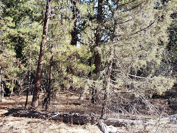 5th image of 66 & 27 Vireo & Blackbird Dr