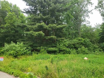 1350 Elm St, Clio, MI, 48420