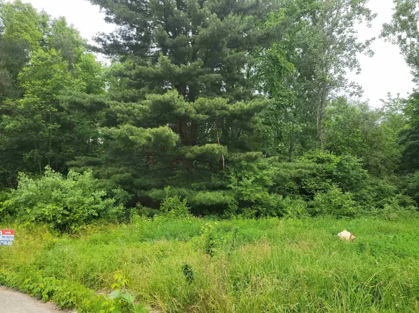 1350 Elm St, Clio, MI 48420