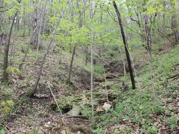 0 Platte/Quarry ROAD #1, Platteville, WI 53818