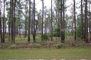 3rd image of 824 Poinciana Dr
