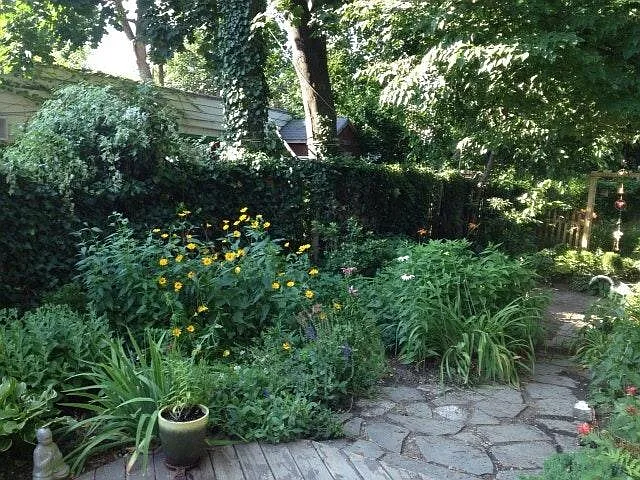 361 Hamilton St — Photo 11