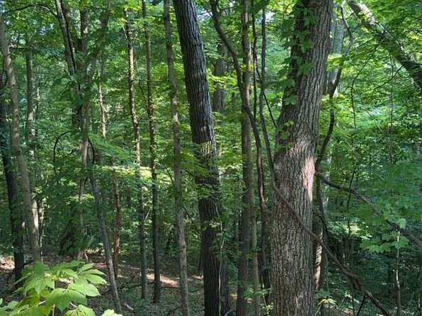 9200 Gaysport Hill Rd, Blue Rock, OH 43720