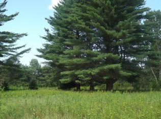 Coville Road Parcel #6, Mikado, MI 48745