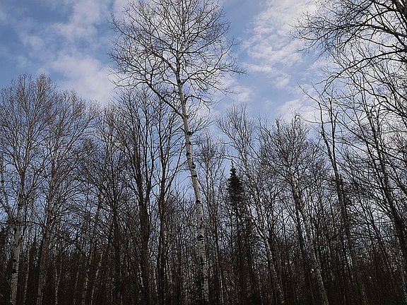 3rd image of 713XX Oulu Rock Rd