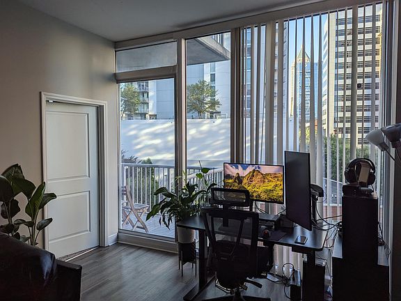 Living Room Windows