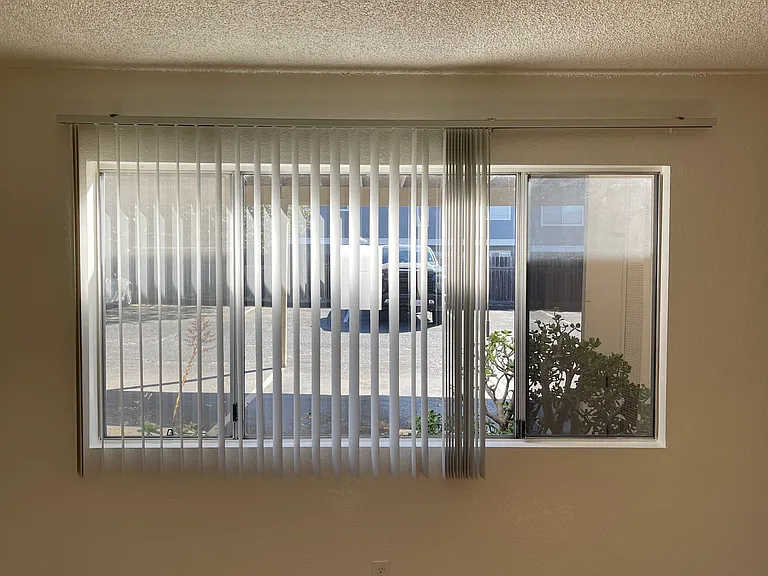 1158 Ash St #7 — Photo 6