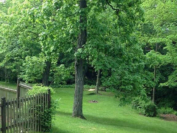 Large back yard w/creek