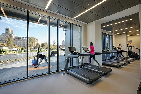 Rented by Gotham Organization | media 5