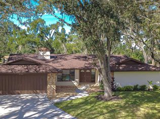 2102 Doefield Ct, Valrico, FL 33596