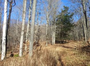 Covered Bridge Hummingbird, Hancock, NY 13783