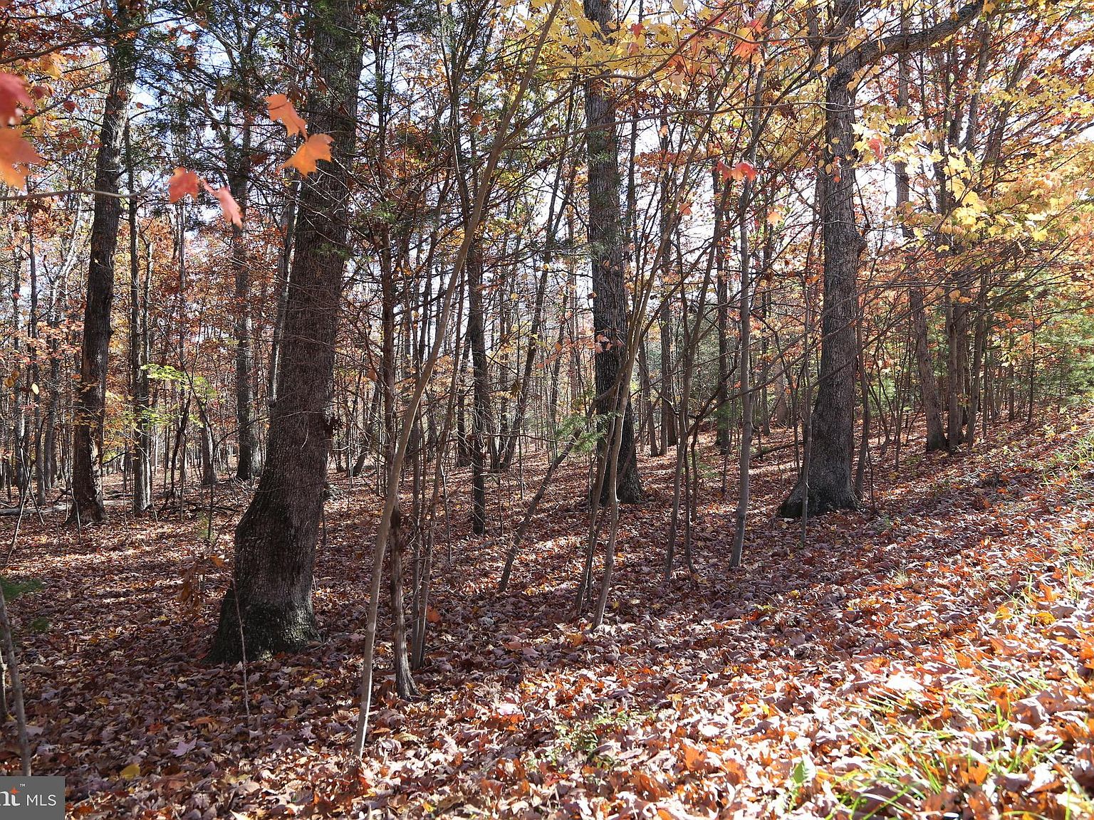 Warden Circle Rd LOT 10, Wardensville, WV 26851 Zillow