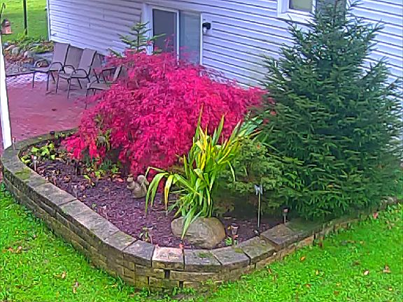 2nd image of 4081 Hawaii Ave