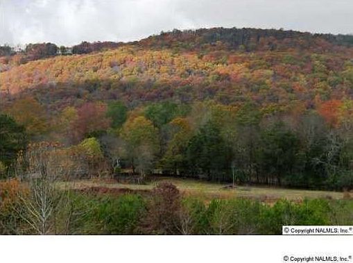 3rd image of 8527 Rolling Oaks Dr