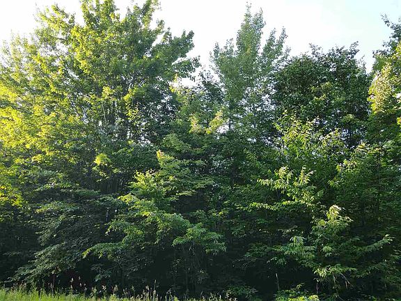 3rd image of Montrose Dr Lot 97