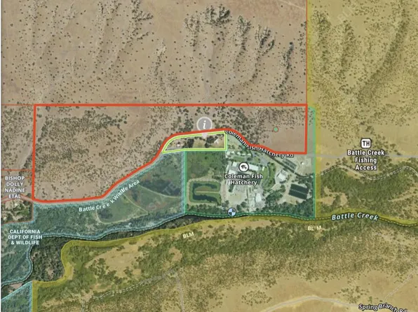 Coleman Fish Hatchery Rd, Anderson, CA 96007