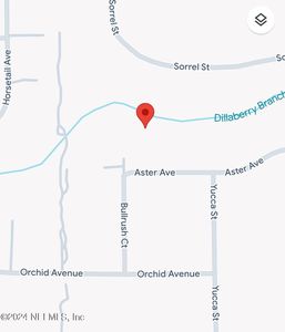 36 BULLRUSH Court, Middleburg, FL, 32068