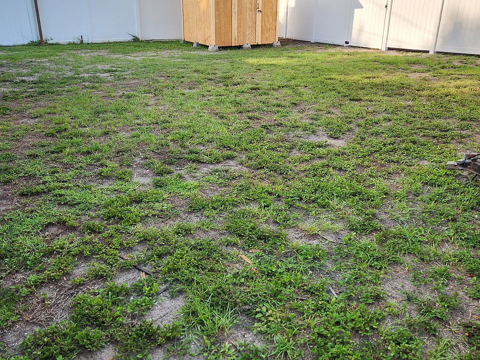 back yard